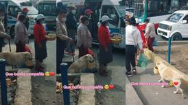 Perrito ayuda a su dueña a vender comida en la calle