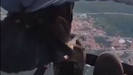 ¡Un amigo en el aire! Paracaidista se cruza con buitre y vuelan juntos