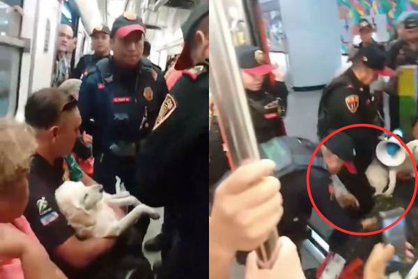 ¡Insensibles! Policías sacan del Metro a usuario que trasladaba a su perrito herido al veterinario