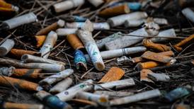 Estos son los daños que causa la industria tabacalera al año, según la OMS