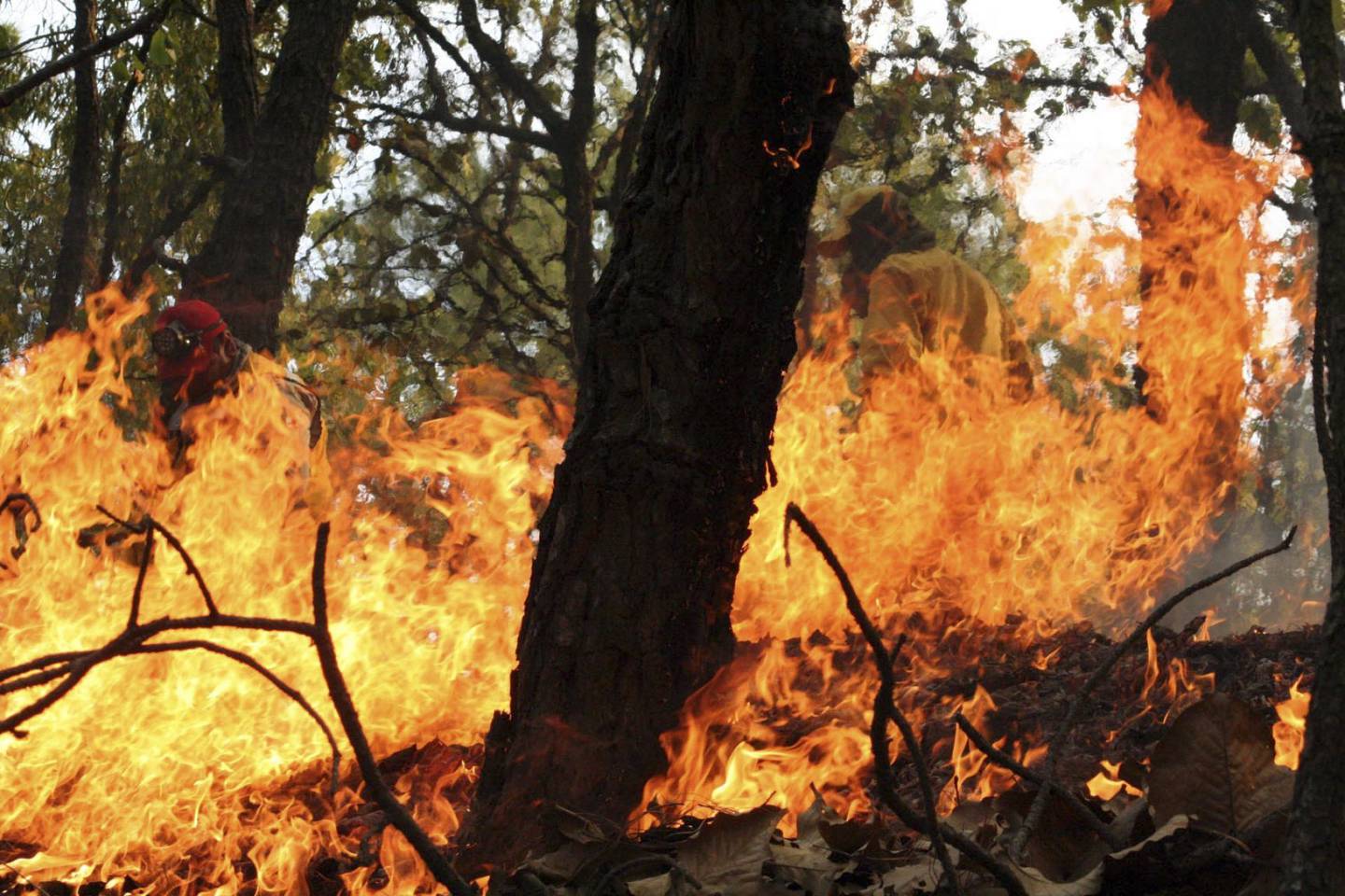 Brigadistas trabajan para combatir los incendios forestales en la zona.