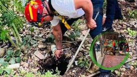 Otro rescate canino en Yucatán, perrito “Rocky” llevaba dos días en el fondo de un socavón