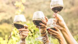 Aprende a elegir la copa ideal para cada tipo de vino