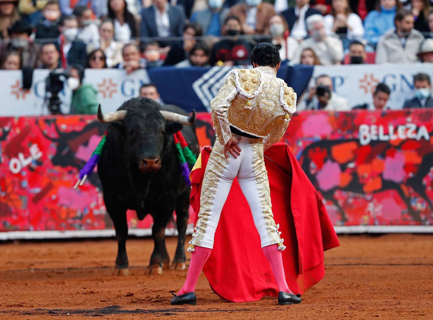 Corridas de toros regresan a la Plaza México por orden de la Suprema Corte