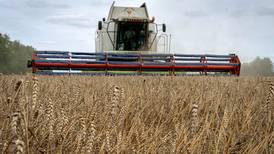 Precio de pan y pastas en riesgo de alza, por bloqueo de Rusia a cereales de Ucrania
