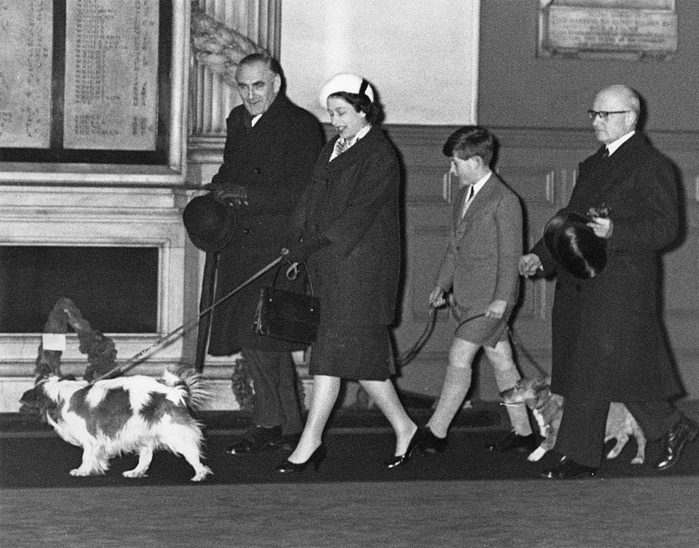 ¿Qué sucederá con los amados perros de Isabel II?