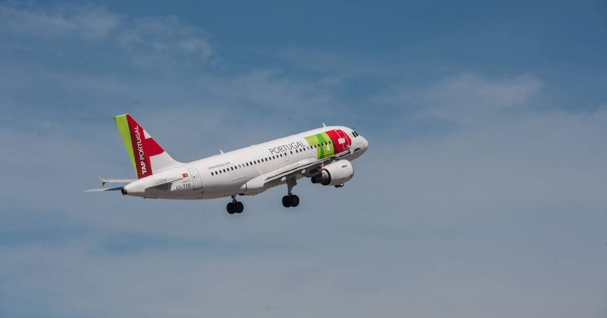 TAP Air Portugal vai operar 91 voos semanais entre Portugal e o Brasil no próximo verão – Publimetro México