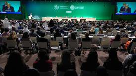 México y su visión climática desde la COP28