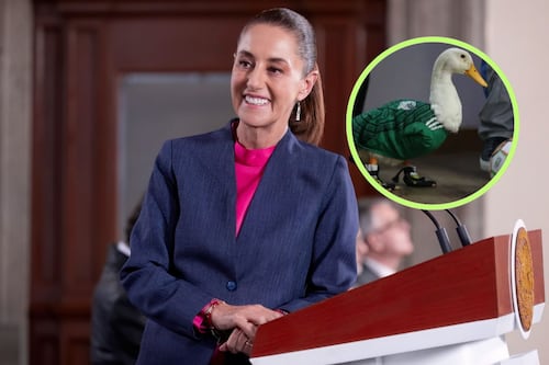 Merlín conquista Palacio Nacional: el pato viral llega a la Mañanera de Sheinbaum