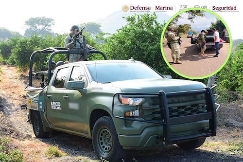 Operativo en Michoacán: Desmantelan tomas de huachicol en huertas aguacateras