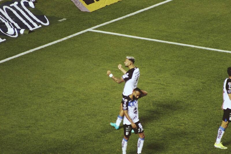 gallos