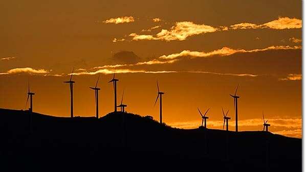 ¿Reforma eléctrica dejaría fuera a las energías limpias?