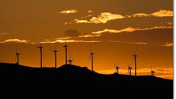 ¿Reforma eléctrica dejaría fuera a las energías limpias?