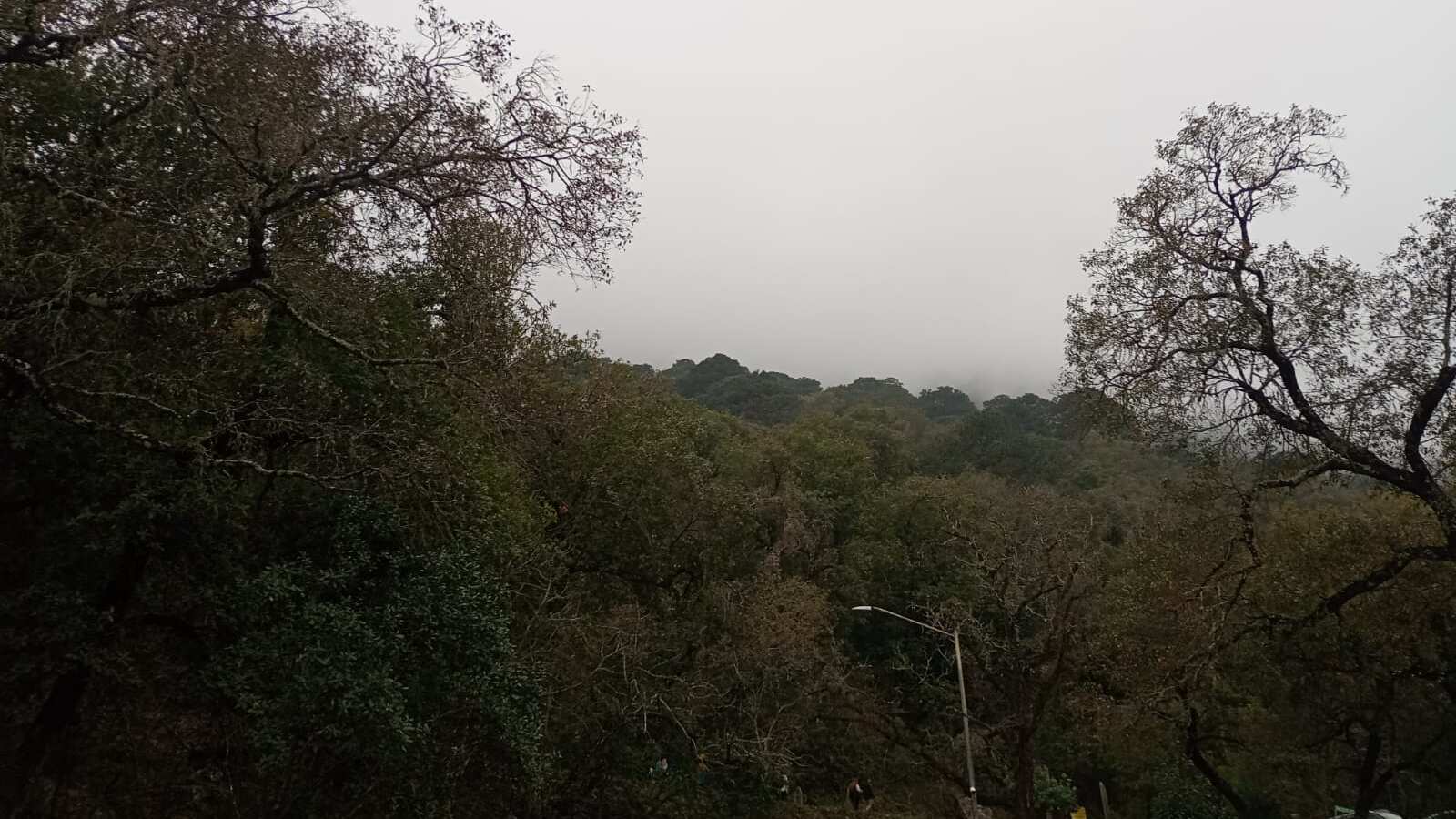 El parque abrirá sus puertas a la comunidad y a todas las personas que deseen estar en contacto con la naturaleza.