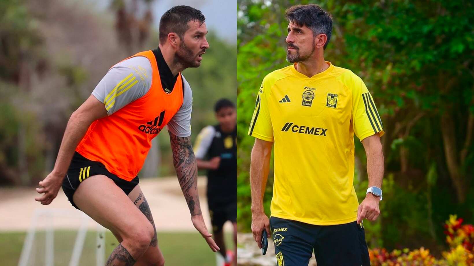 Gignac y Paunovic fueron captados en una acalorada discusión.