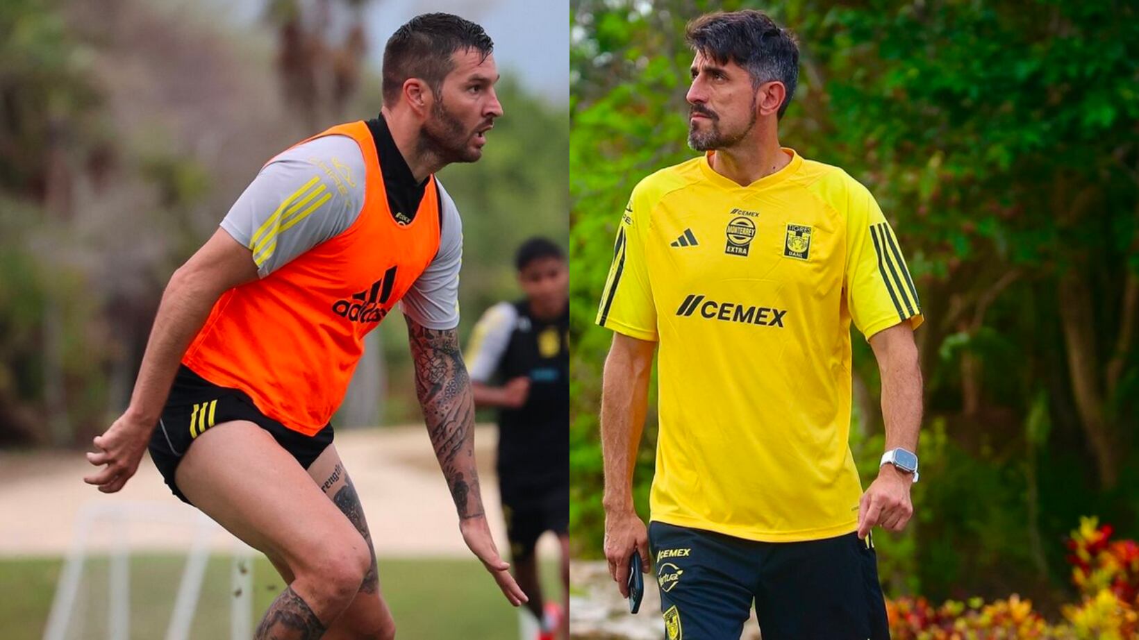 Gignac y Paunovic fueron captados en una acalorada discusión.