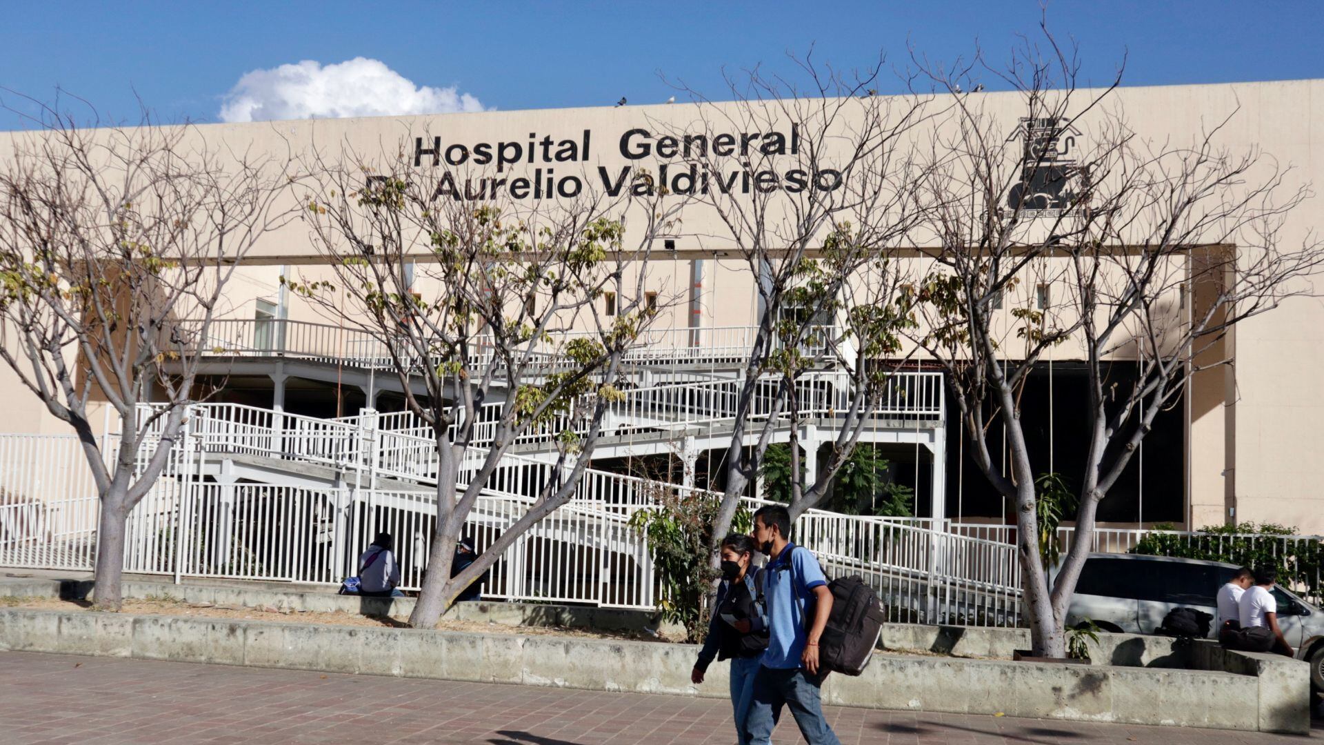 Casos de rabia: López-Gatell descarta alerta por enfermos en Oaxaca y Nayarit