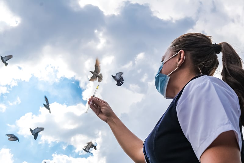 IMAGEN ILUSTRATIVA/ GOBIERNO DE JALISCO