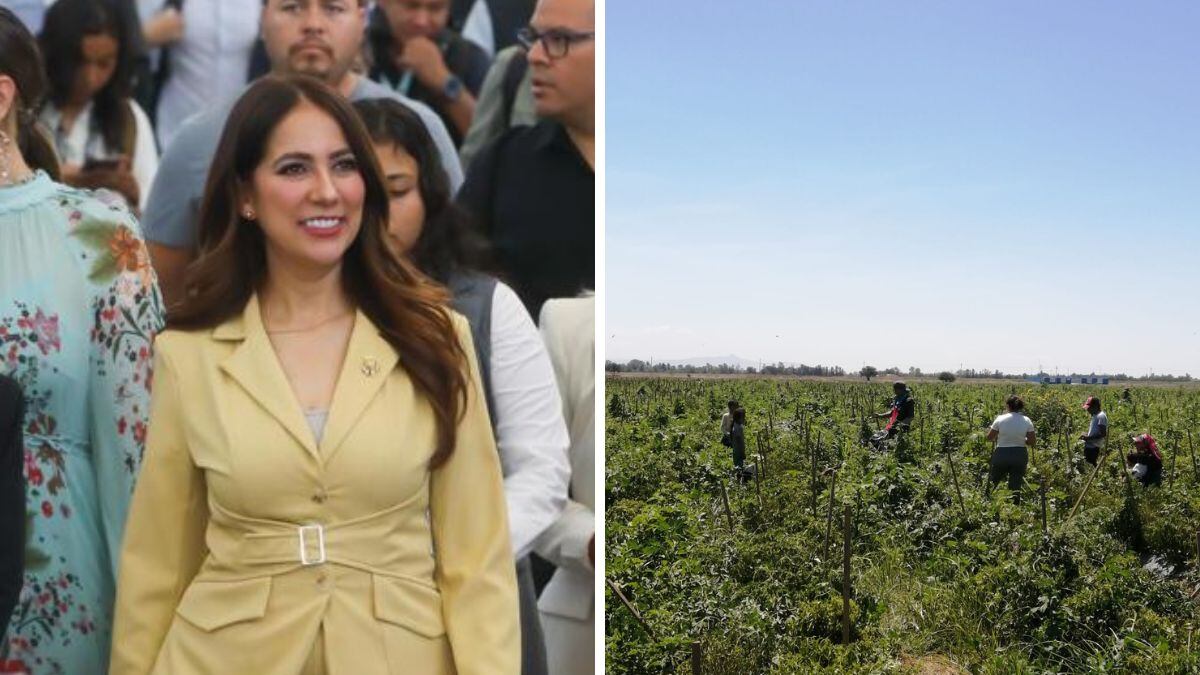 Autoridades estatales investigan el caso de presunta explotación laboral en Dolores Hidalgo, donde más de 700 jornaleros, en su mayoría indígenas, fueron rescatados de un rancho agrícola.