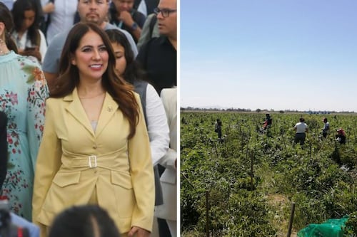 Investigan posible trata laboral en Dolores Hidalgo tras rescate de 700 jornaleros