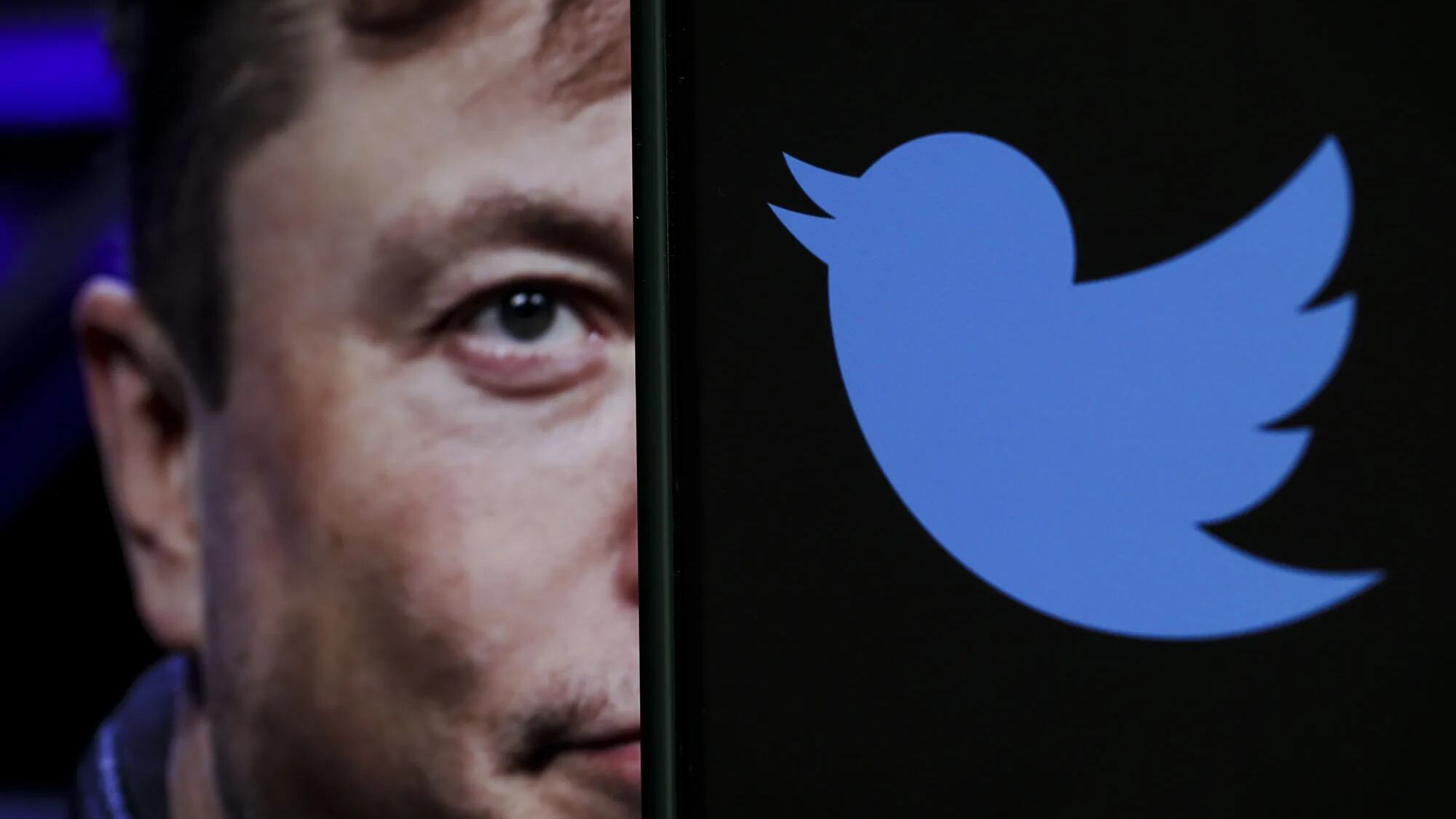 La ketamina es un fármaco de uso anestésico para animales y humanos, puede inducir alucinaciones. Pero Elon Musk usa esa sustancia contra la depresión.