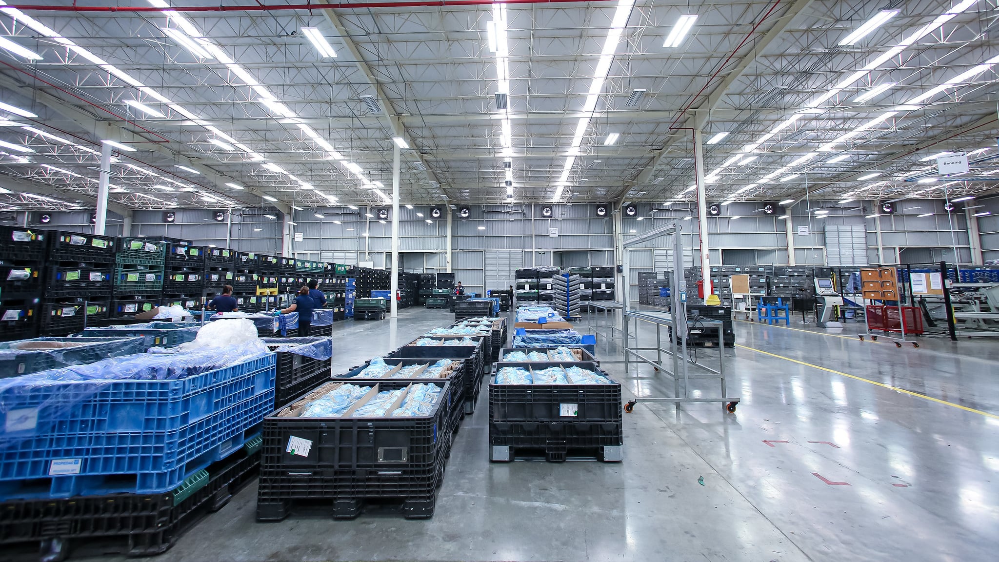 IMAGEN ILUSTRATIVA/ GOBIERNO DE JALISCO