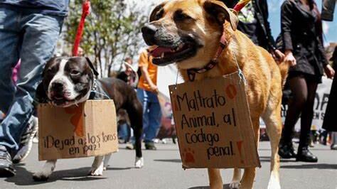 El proyecto plantea eliminar el maltrato del Código Penal.
