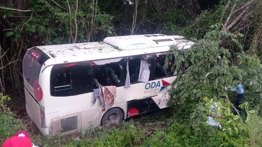 El autobús de salió del camino y se estrelló contra la maleza. (Especial)