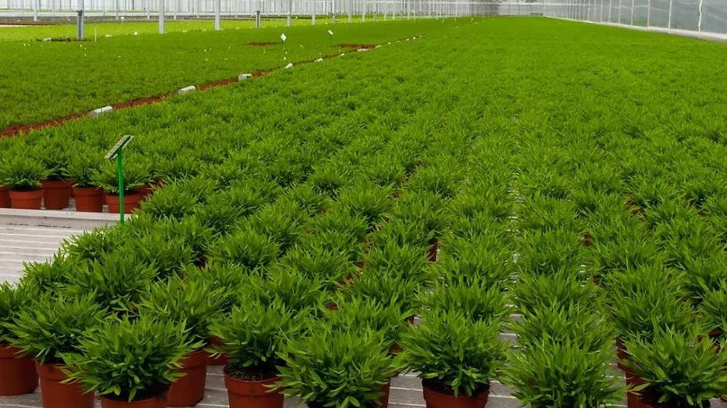 Foto de Bloom Automation Inc