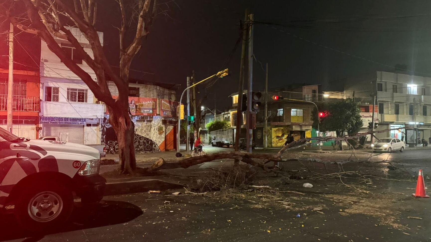 Derribaron árboles en distintos puntos de la ciudad.