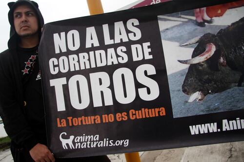 ¡Histórico! Prohiben corridas de toros en Feria de Puebla y Zacatlán