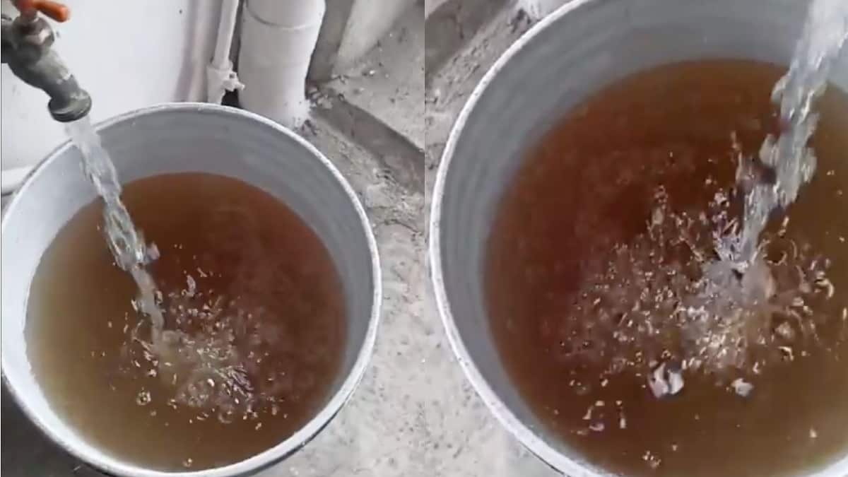 Agua contaminada: Critican falta de recomendaciones de las autoridades en Benito Juárez