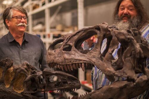 Descubren una nueva especie de Allosaurus en EE.UU.