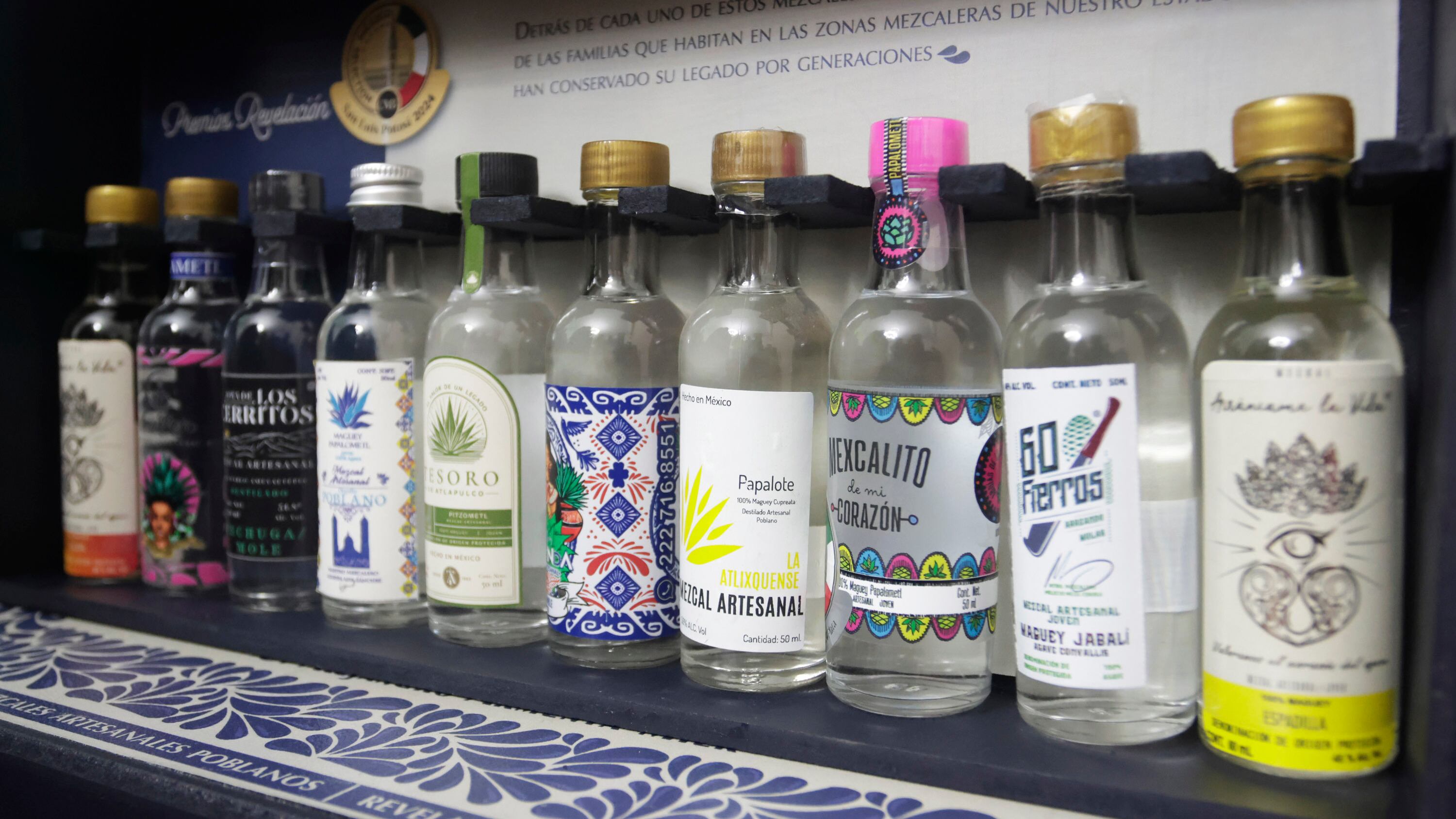 FOTO: Mireya Novo/Agencia Enfoque