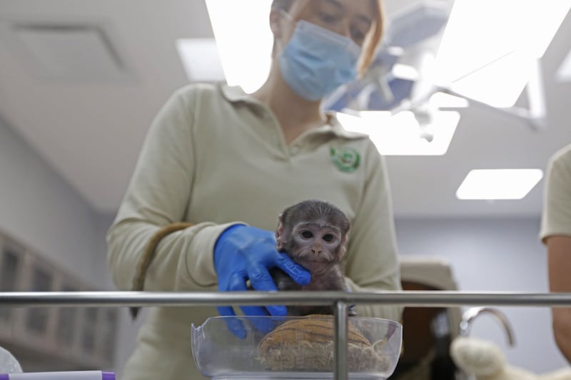 CUARTOSCURO/ FERNANDO CARRANZA GARCIA