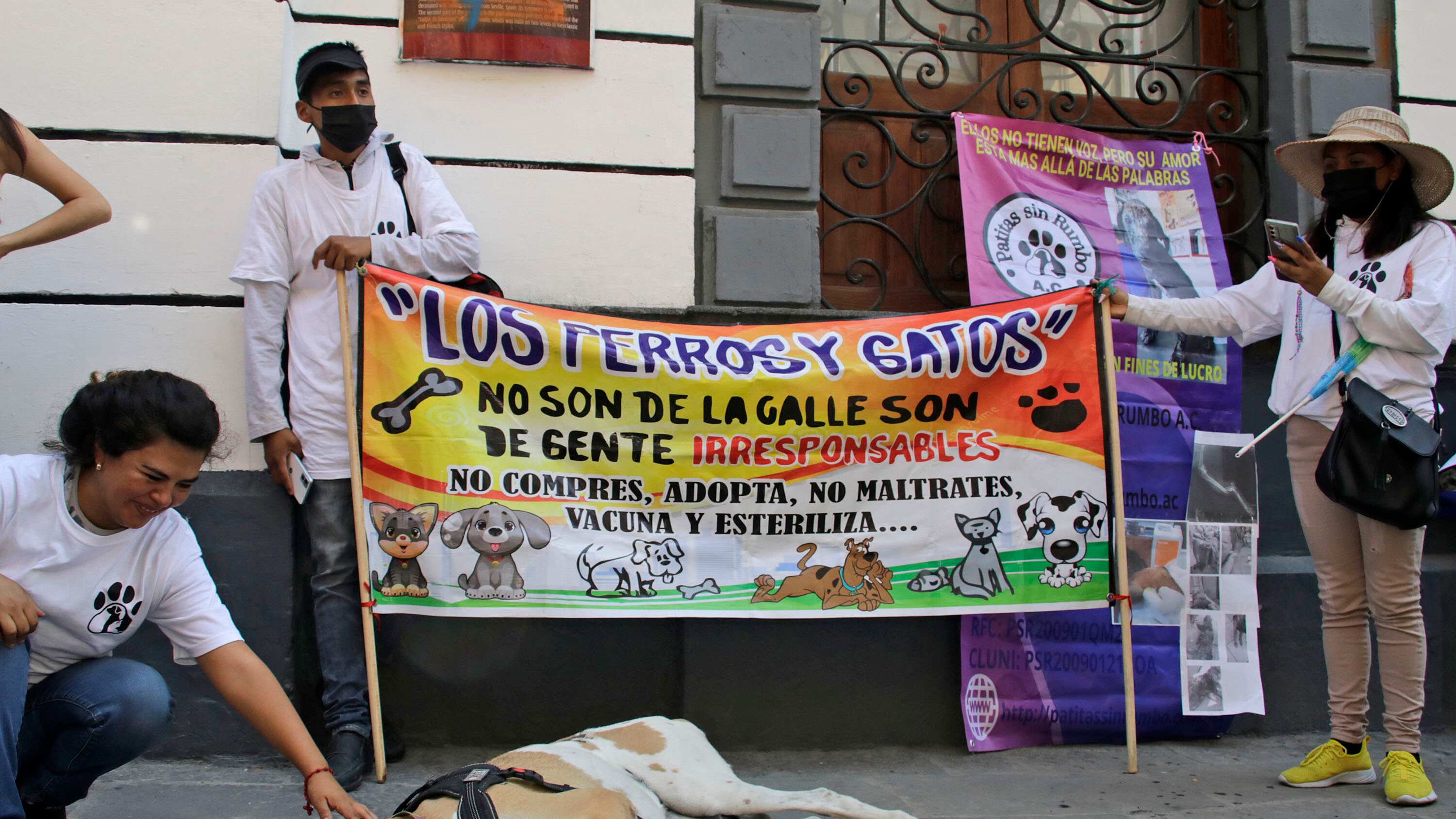 FOTO: Agencia Enfoque