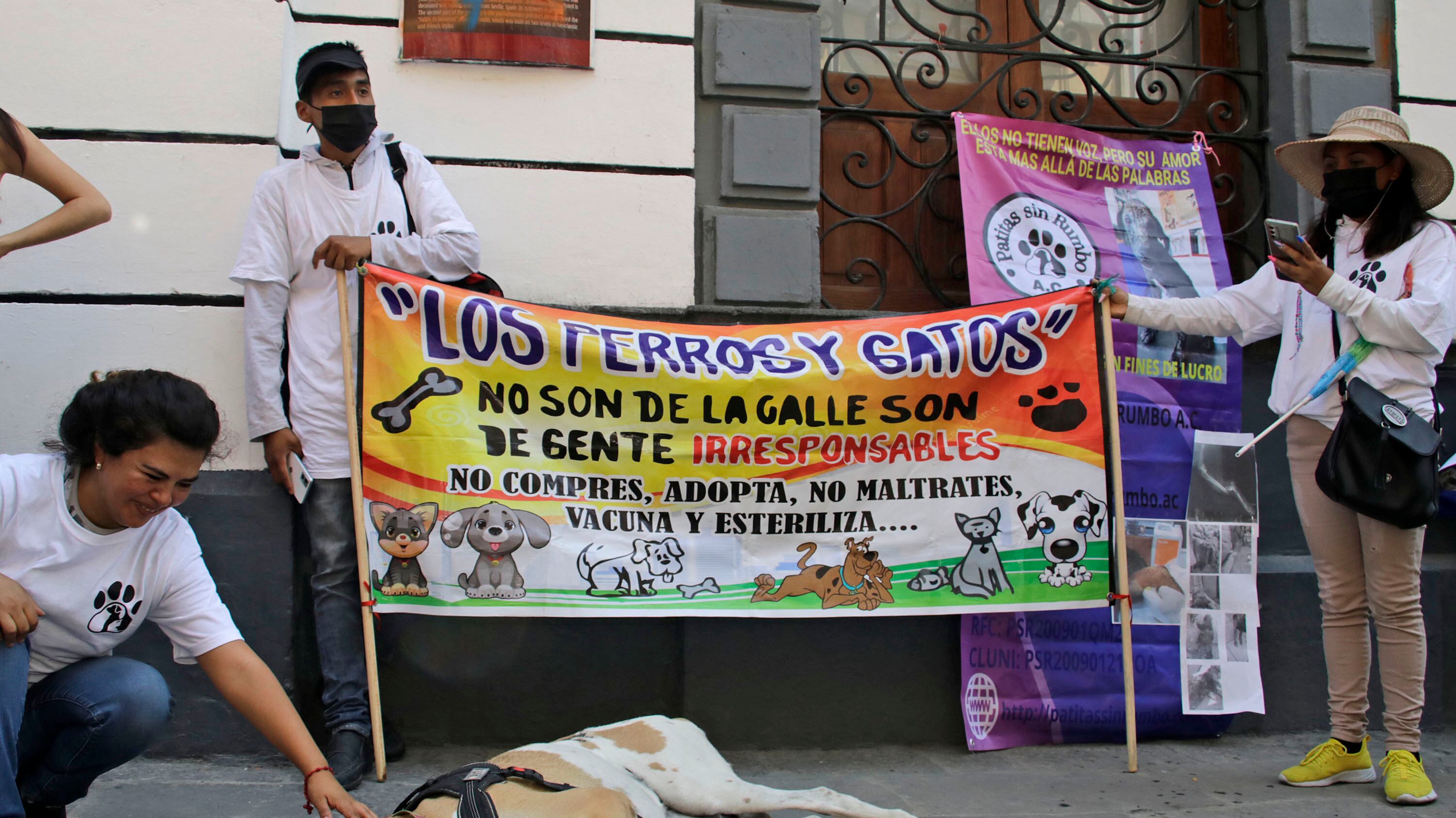 FOTO: Agencia Enfoque