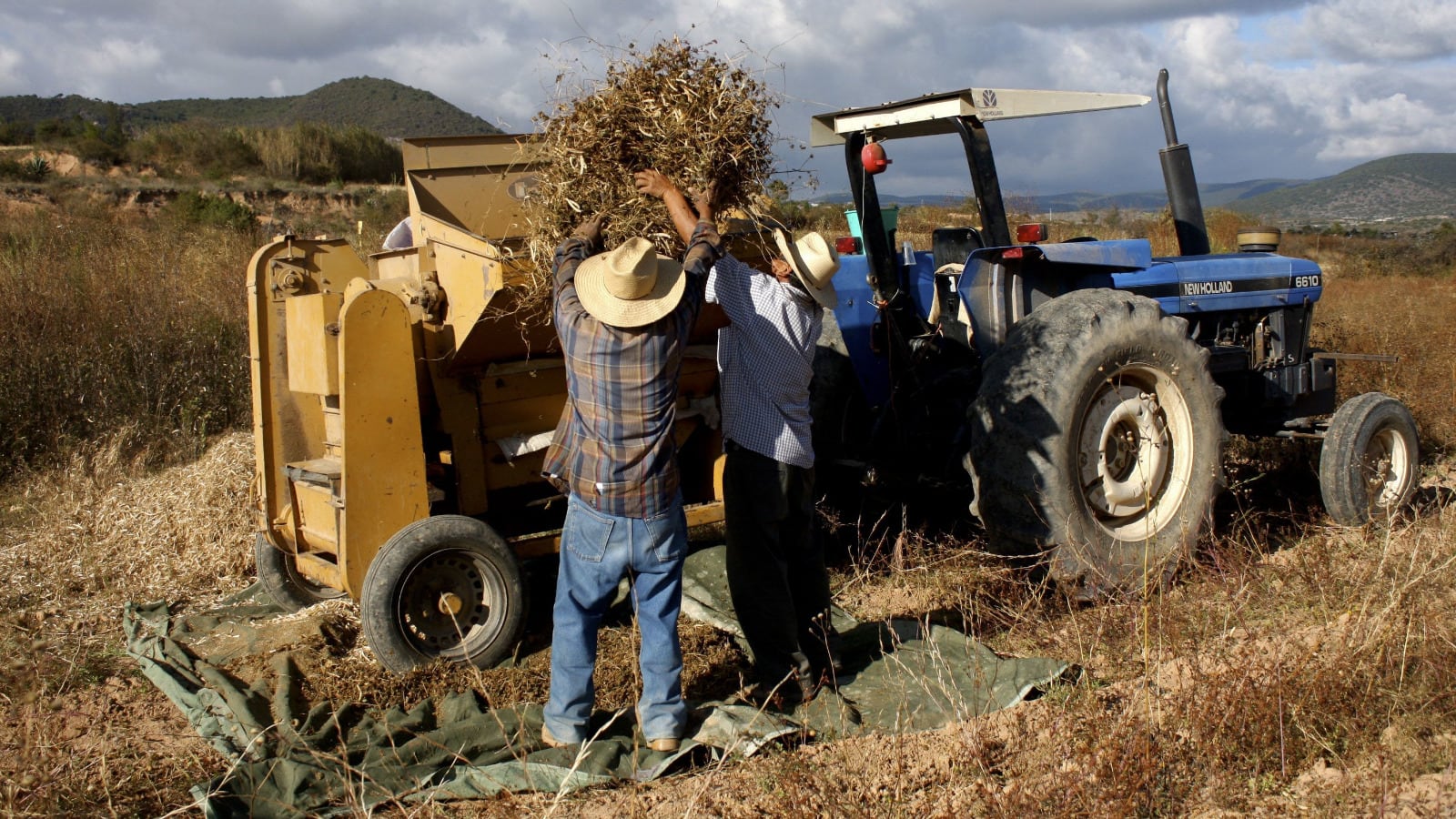 El 60% de los municipios y sus zonas agrícolas carecen de agua; 15 estados reportan entre 80% y 100% de su territorio en sequía.