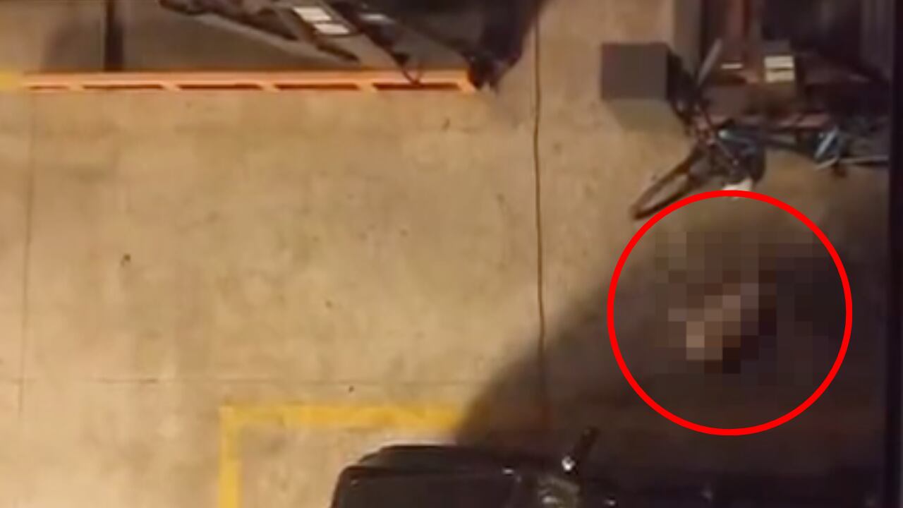 Los hechos habrían ocurrido en la colonia Nápoles en la CDMX