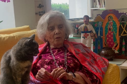 ¡No se detiene la delincuencia! Elena Poniatowska sufre robo en su casa; solo se llevaron su laptop