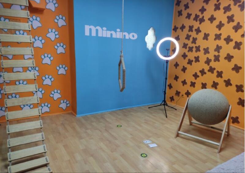 Casa Minino 2