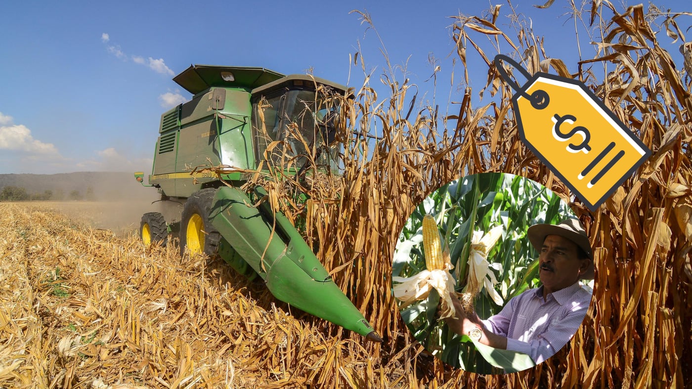 CORTESÍA/ GOBIERNO DE JALISCO/ CANVA