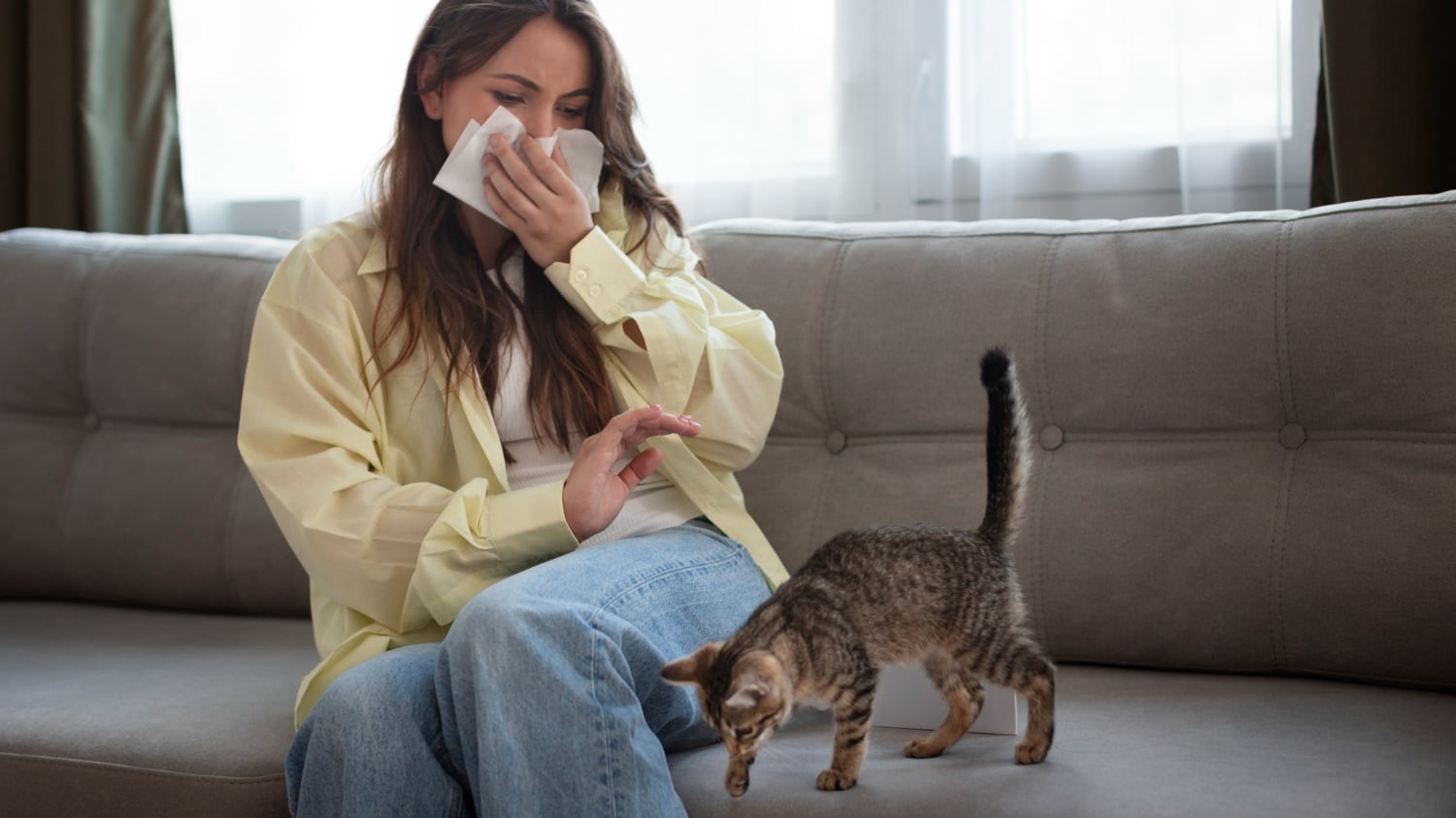 Cómo eliminar para siempre el olor a orina de gato de tu hogar