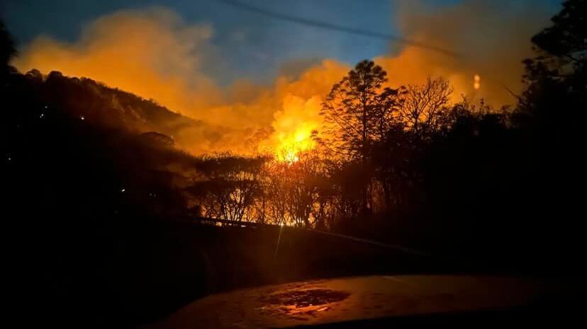 Los colectivos afirmaron que es poco el dinero destinado para la protección de las áreas verdes.