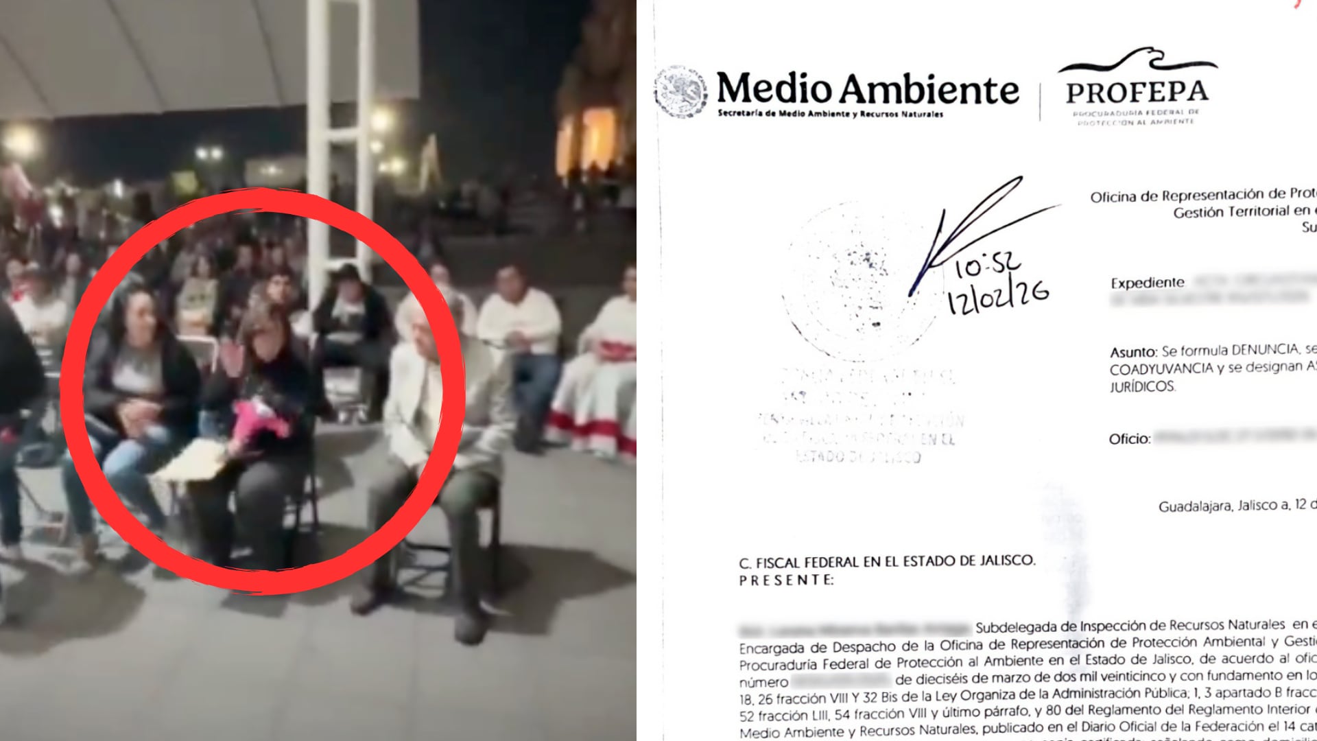 La dependencia federal presentó denuncia ante la Fiscalía por la posesión ilegal del primate