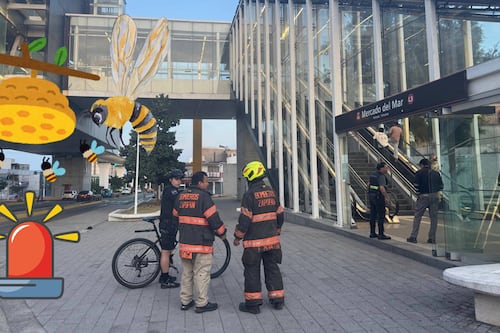 ¡Ataque inesperado! Enjambre de abejas deja cinco lesionados afuera de la estación Mercado del Mar