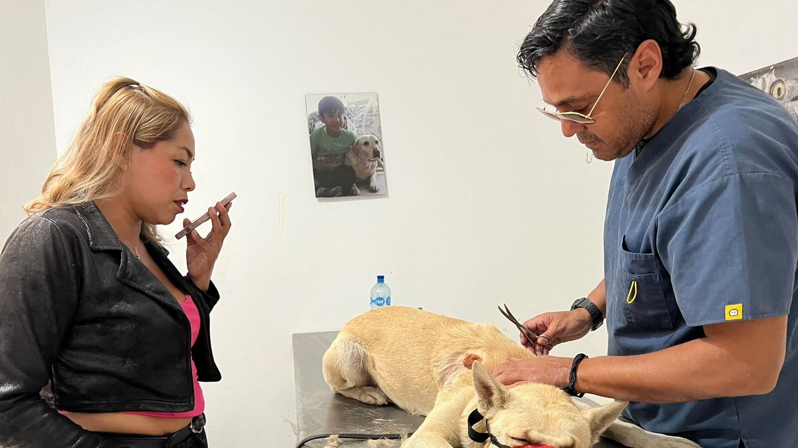 Una mujer resguardó al perro luego de que fue agredido por un hombre que pasó en un scooter y le disparó con arma hechiza