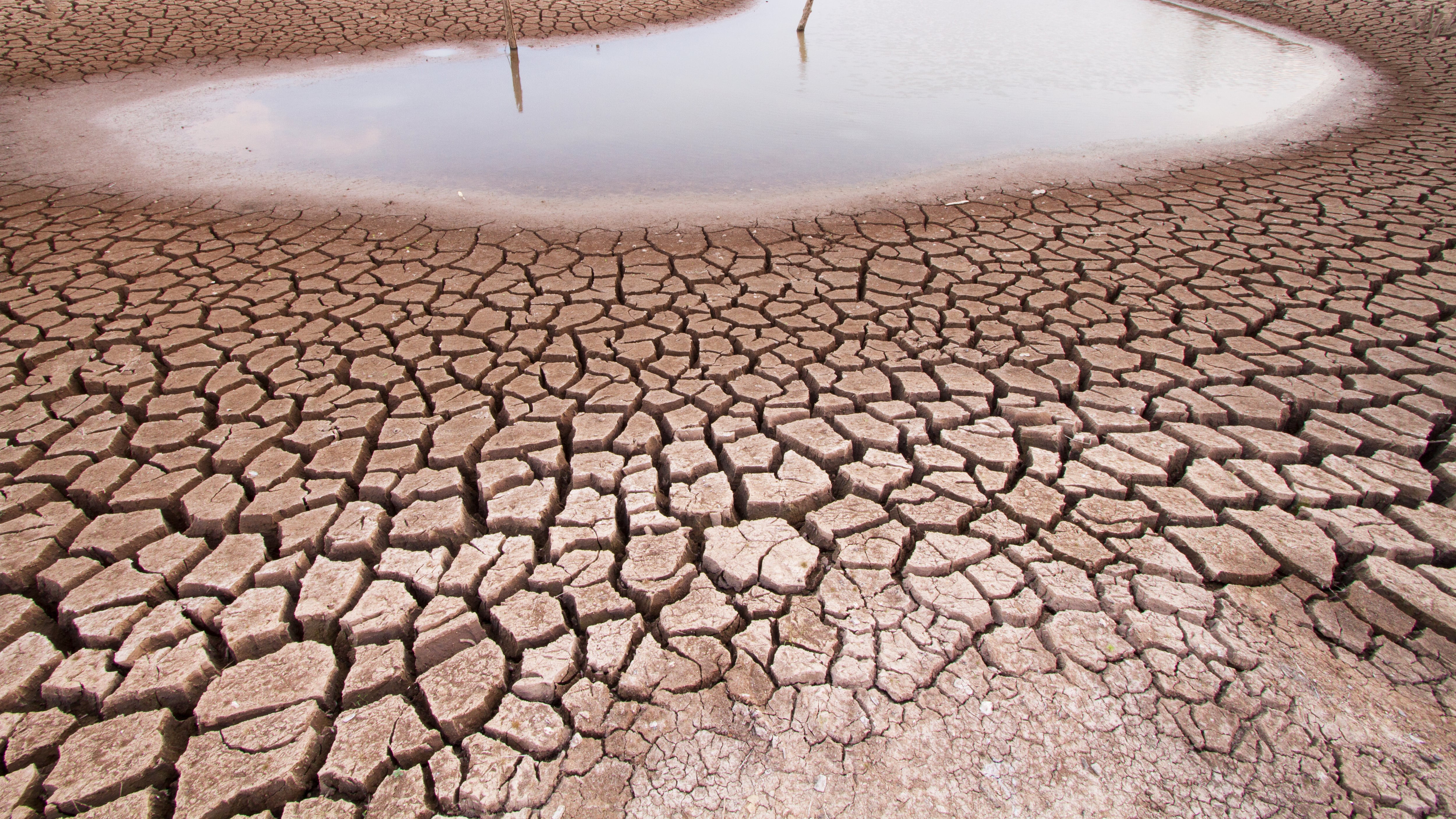 La sequía afecta de forma severa a Agualeguas, Anáhuac, Parás y Vallecillo.