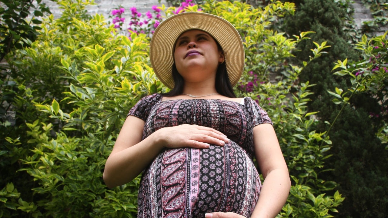 Santa Catarina vacunará a mujeres embarazadas