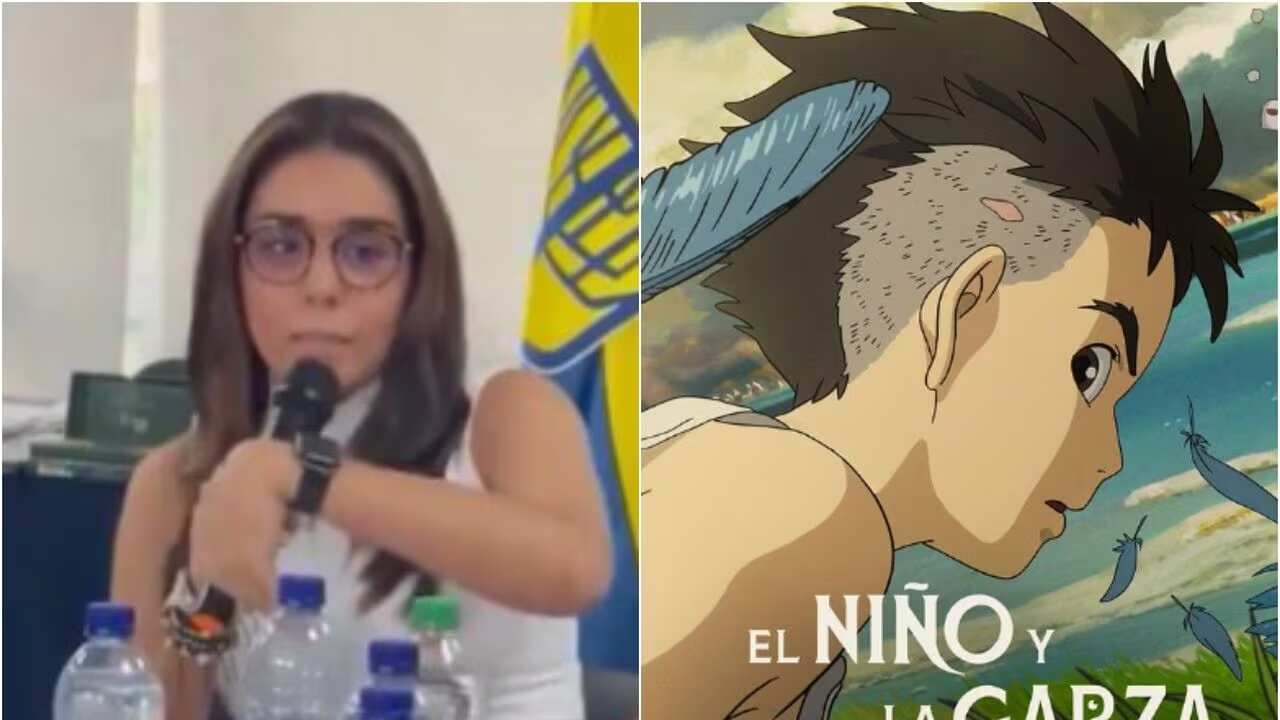 Qué le podría pasar legalmente a Geraldine Fernandez Ruiz por decir que trabajó con Estudio Ghibli